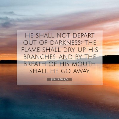 Picture 07 - Job 15:30 KJV - He shall not depart out of darkness; the flame - Bible Verse Picture