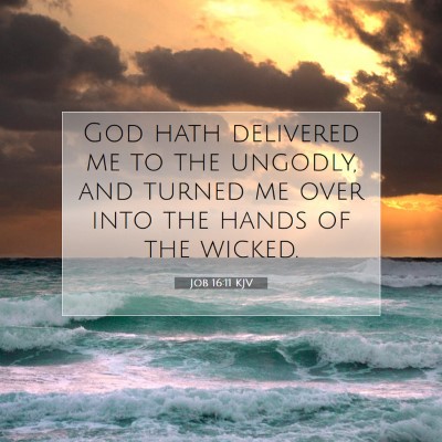 Picture 07 - Job 16:11 KJV - God hath delivered me to the ungodly, and turned - Bible Verse Picture