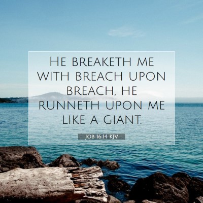 Picture 07 - Job 16:14 KJV - He breaketh me with breach upon breach, he - Bible Verse Picture