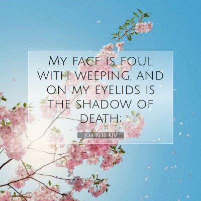 Picture 07 - Job 16:16 KJV - My face is foul with weeping, and on my eyelids - Bible Verse Picture