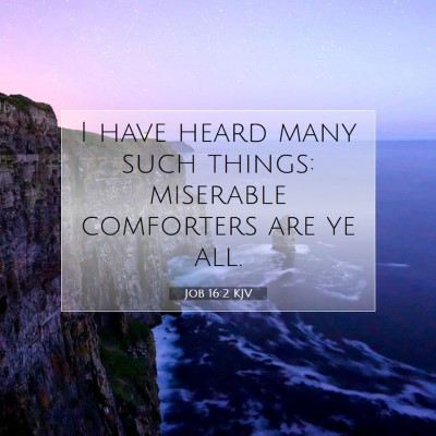 Picture 07 - Job 16:2 KJV - I have heard many such things: miserable - Bible Verse Picture