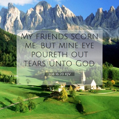 Picture 07 - Job 16:20 KJV - My friends scorn me: but mine eye poureth out - Bible Verse Picture