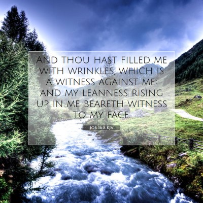 Picture 07 - Job 16:8 KJV - And thou hast filled me with wrinkles, which is a - Bible Verse Picture