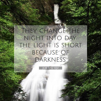 Picture 07 - Job 17:12 KJV - They change the night into day: the light is - Bible Verse Picture