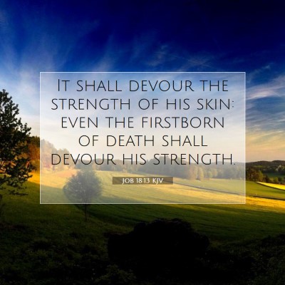 Picture 07 - Job 18:13 KJV - It shall devour the strength of his skin: even - Bible Verse Picture