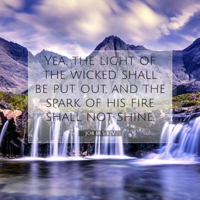 Picture 07 - Job 18:5 KJV - Yea, the light of the wicked shall be put out, - Bible Verse Picture