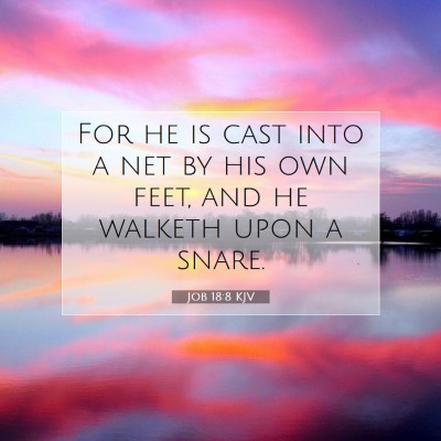 Picture 07 - Job 18:8 KJV - For he is cast into a net by his own feet, and he - Bible Verse Picture