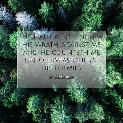 Picture 07 - Job 19:11 KJV - He hath also kindled his wrath against me, and he - Bible Verse Picture