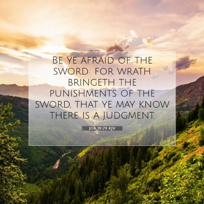Picture 07 - Job 19:29 KJV - Be ye afraid of the sword: for wrath bringeth the - Bible Verse Picture