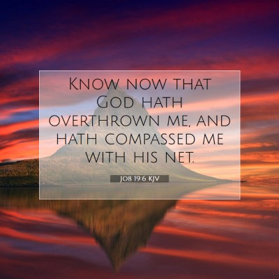 Picture 07 - Job 19:6 KJV - Know now that God hath overthrown me, and hath - Bible Verse Picture