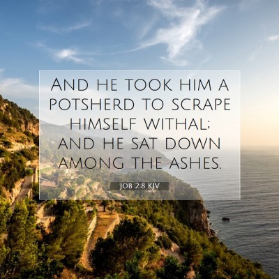 Picture 07 - Job 2:8 KJV - And he took him a potsherd to scrape himself - Bible Verse Picture