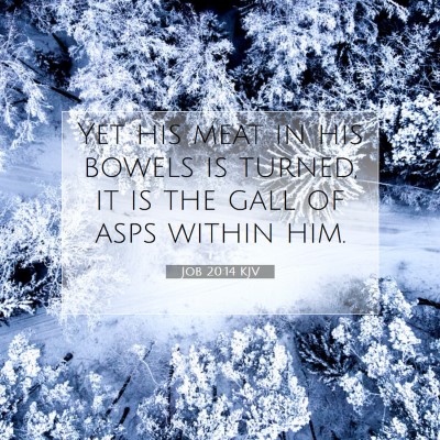Picture 07 - Job 20:14 KJV - Yet his meat in his bowels is turned, it is the - Bible Verse Picture