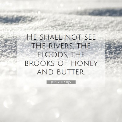Picture 07 - Job 20:17 KJV - He shall not see the rivers, the floods, the - Bible Verse Picture