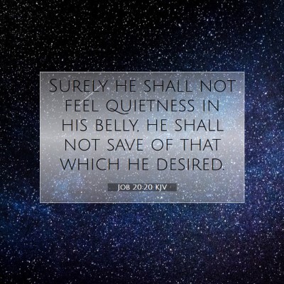 Picture 07 - Job 20:20 KJV - Surely he shall not feel quietness in his belly, - Bible Verse Picture