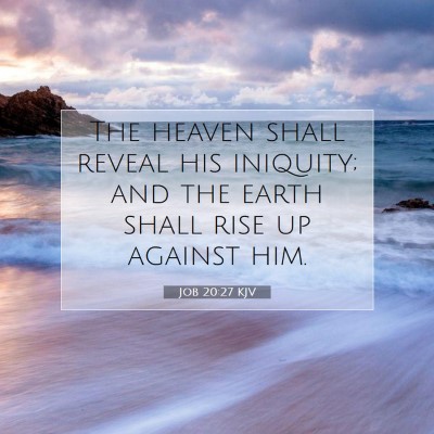 Picture 07 - Job 20:27 KJV - The heaven shall reveal his iniquity; and the - Bible Verse Picture