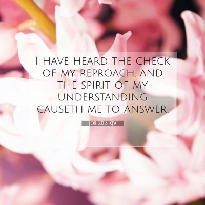 Picture 07 - Job 20:3 KJV - I have heard the check of my reproach, and the - Bible Verse Picture