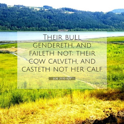 Picture 07 - Job 21:10 KJV - Their bull gendereth, and faileth not; their cow - Bible Verse Picture