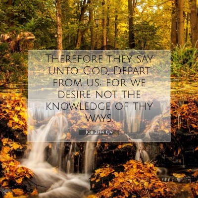 Picture 07 - Job 21:14 KJV - Therefore they say unto God, Depart from us; for - Bible Verse Picture