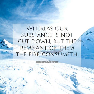 Picture 07 - Job 22:20 KJV - Whereas our substance is not cut down, but the - Bible Verse Picture