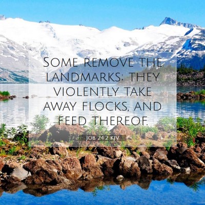Picture 07 - Job 24:2 KJV - Some remove the landmarks; they violently take - Bible Verse Picture