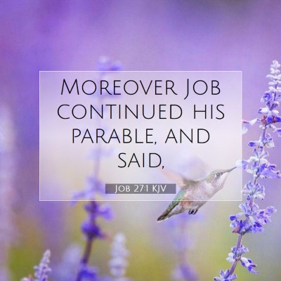 Picture 07 - Job 27:1 KJV - Moreover Job continued his parable, and - Bible Verse Picture