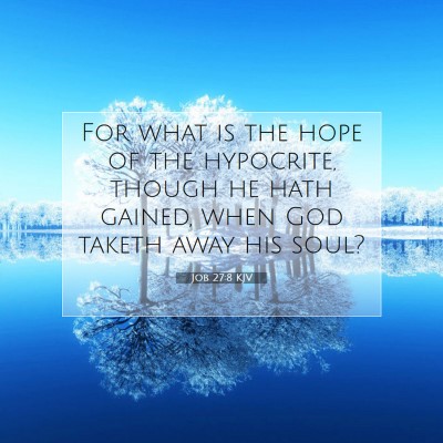 Picture 07 - Job 27:8 KJV - For what is the hope of the hypocrite, though he - Bible Verse Picture