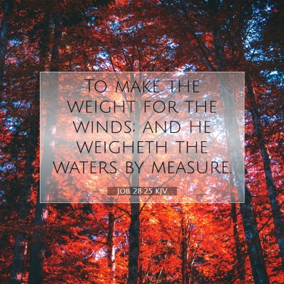 Picture 07 - Job 28:25 KJV - To make the weight for the winds; and he weigheth - Bible Verse Picture