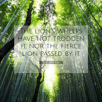 Picture 07 - Job 28:8 KJV - The lion's whelps have not trodden it, nor the - Bible Verse Picture