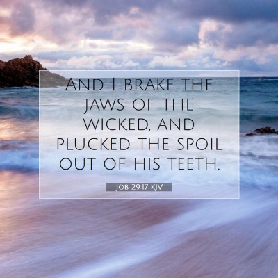 Picture 07 - Job 29:17 KJV - And I brake the jaws of the wicked, and plucked - Bible Verse Picture