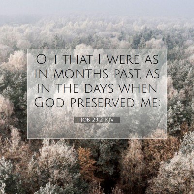 Picture 07 - Job 29:2 KJV - Oh that I were as in months past, as in the days - Bible Verse Picture