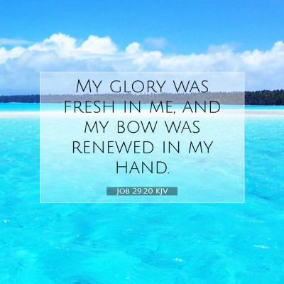 Picture 07 - Job 29:20 KJV - My glory was fresh in me, and my bow was renewed - Bible Verse Picture