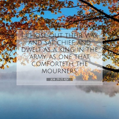 Picture 07 - Job 29:25 KJV - I chose out their way, and sat chief, and dwelt - Bible Verse Picture