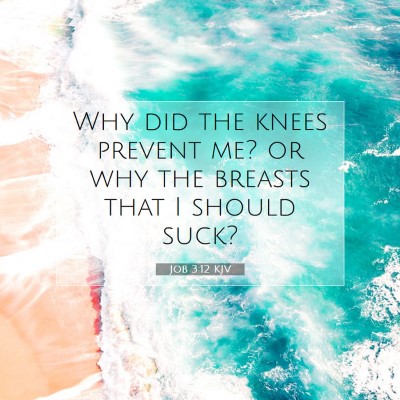 Picture 07 - Job 3:12 KJV - Why did the knees prevent me? or why the breasts - Bible Verse Picture