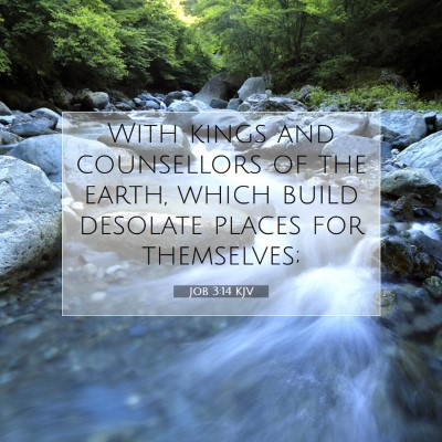 Picture 07 - Job 3:14 KJV - With kings and counsellors of the earth, which - Bible Verse Picture