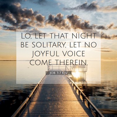 Picture 07 - Job 3:7 KJV - Lo, let that night be solitary, let no joyful - Bible Verse Picture