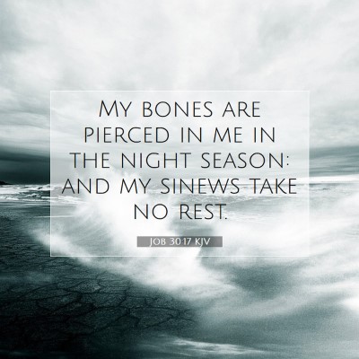 Picture 07 - Job 30:17 KJV - My bones are pierced in me in the night season: - Bible Verse Picture