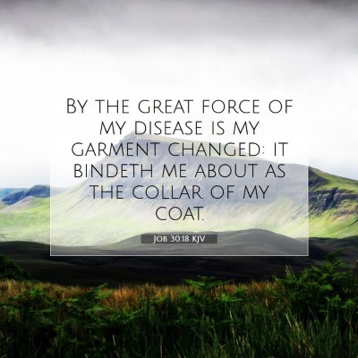 Picture 07 - Job 30:18 KJV - By the great force of my disease is my garment - Bible Verse Picture