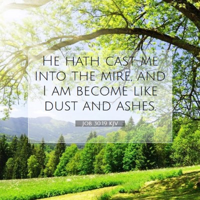 Picture 07 - Job 30:19 KJV - He hath cast me into the mire, and I am become - Bible Verse Picture