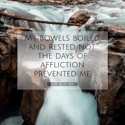 Picture 07 - Job 30:27 KJV - My bowels boiled, and rested not: the days of - Bible Verse Picture
