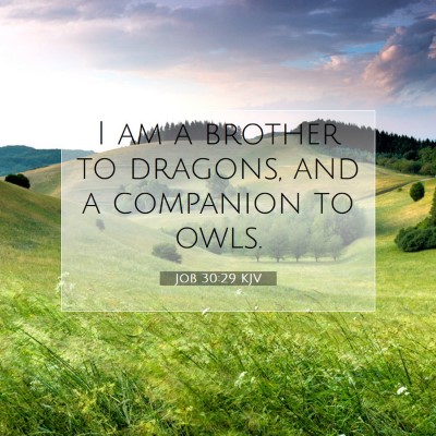 Picture 07 - Job 30:29 KJV - I am a brother to dragons, and a companion to - Bible Verse Picture