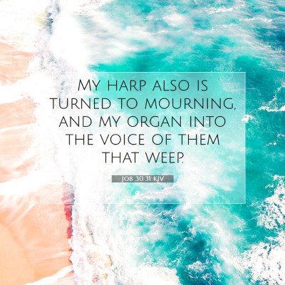 Picture 07 - Job 30:31 KJV - My harp also is turned to mourning, and my organ - Bible Verse Picture