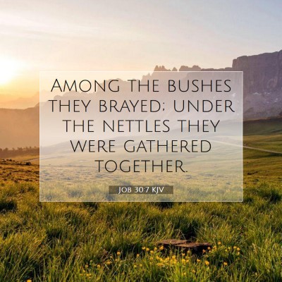 Picture 07 - Job 30:7 KJV - Among the bushes they brayed; under the nettles - Bible Verse Picture