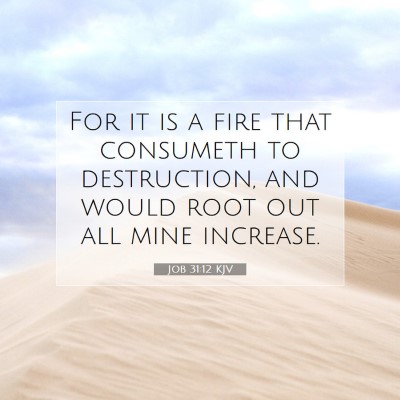 Picture 07 - Job 31:12 KJV - For it is a fire that consumeth to destruction, - Bible Verse Picture