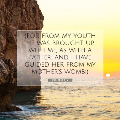 Picture 07 - Job 31:18 KJV - (For from my youth he was brought up with me, as - Bible Verse Picture
