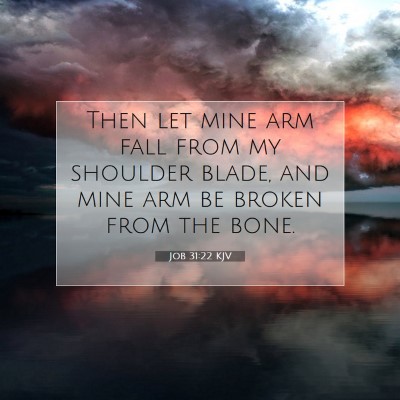 Picture 07 - Job 31:22 KJV - Then let mine arm fall from my shoulder blade, - Bible Verse Picture
