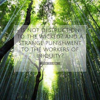 Picture 07 - Job 31:3 KJV - Is not destruction to the wicked? and a strange - Bible Verse Picture