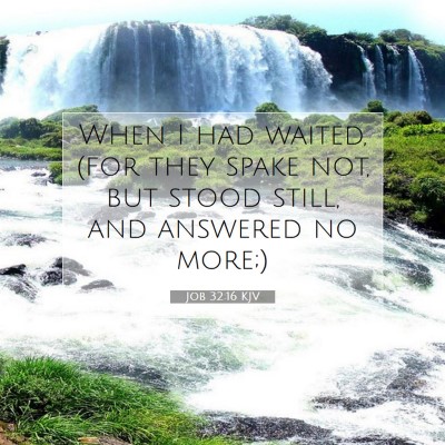 Picture 07 - Job 32:16 KJV - When I had waited, (for they spake not, but stood - Bible Verse Picture