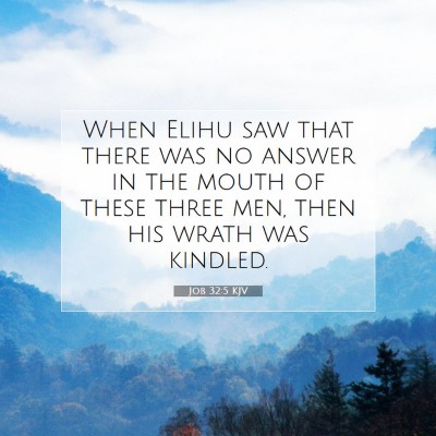 Picture 07 - Job 32:5 KJV - When Elihu saw that there was no answer in the - Bible Verse Picture