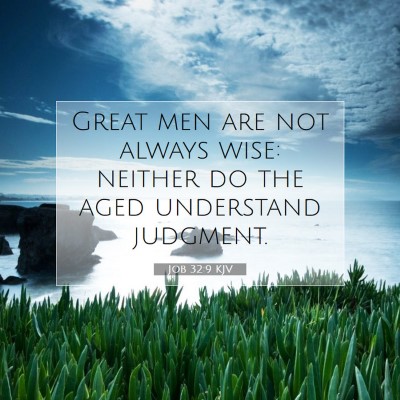 Picture 07 - Job 32:9 KJV - Great men are not always wise: neither do the - Bible Verse Picture