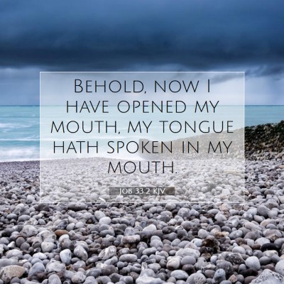 Picture 07 - Job 33:2 KJV - Behold, now I have opened my mouth, my tongue - Bible Verse Picture